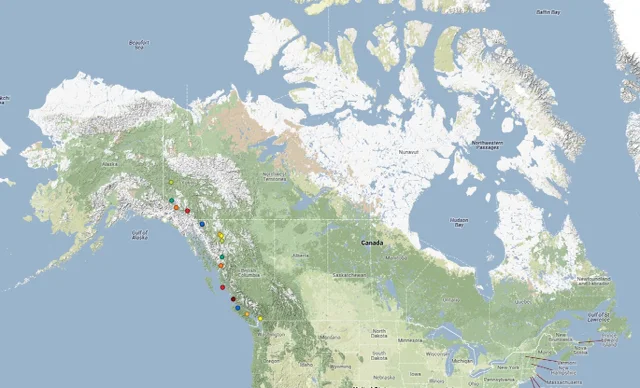 Day 8 Dawson City and getting there, Jun 8, 2014