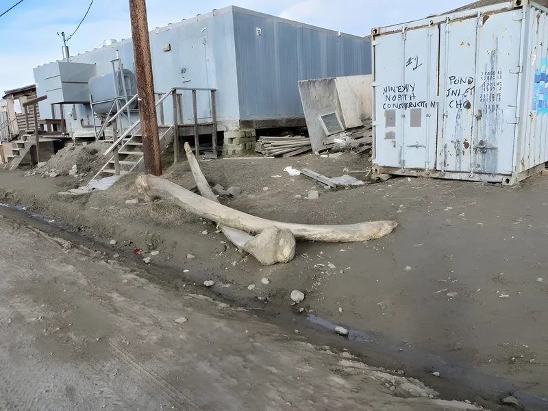 Day 18 Almost a permanent resident of Pond Inlet, Jun 17, 2014
